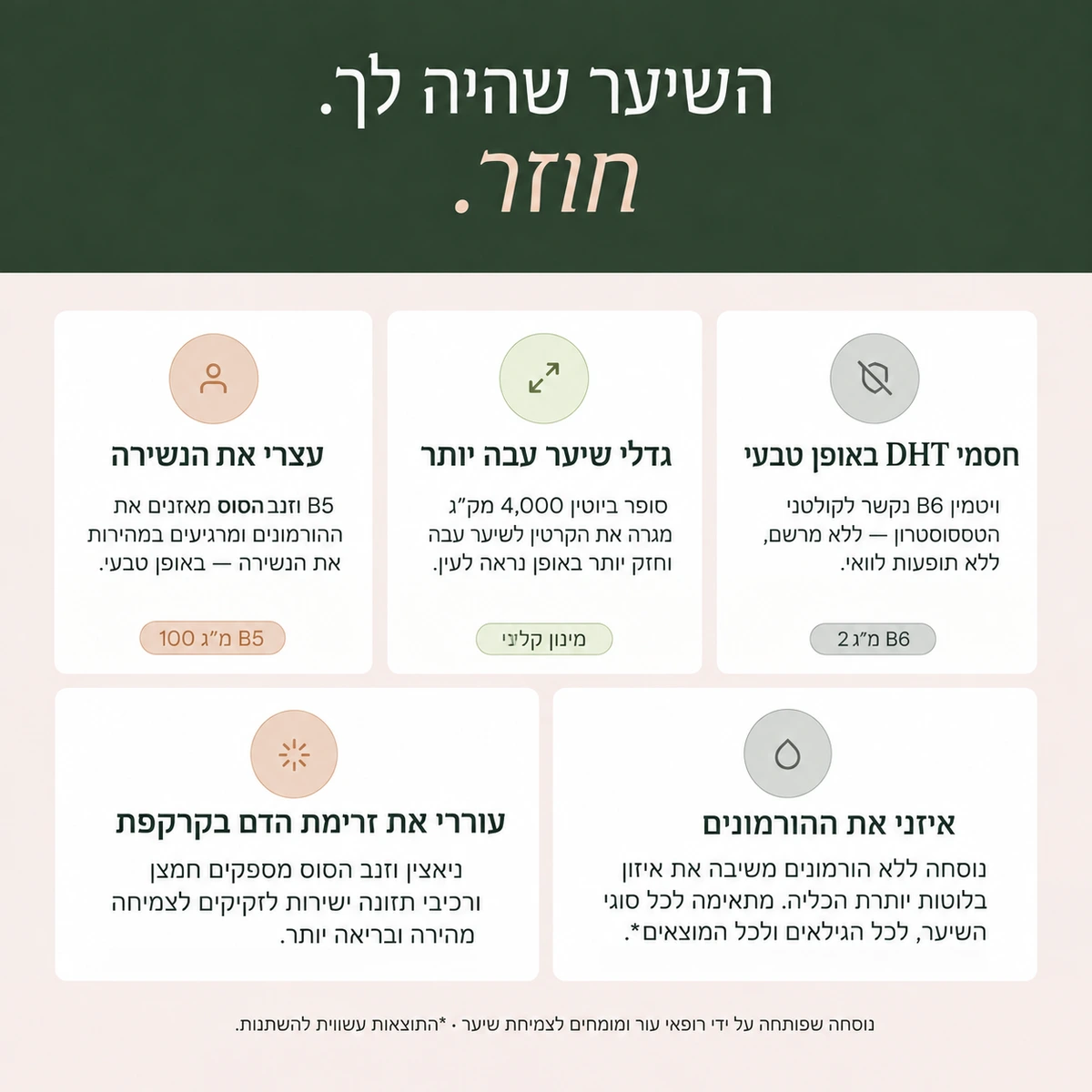 Pl'hair - שימוש קל